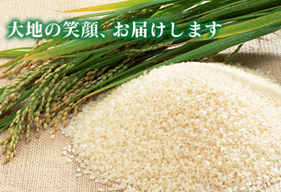 flashsample